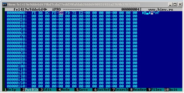 Capture d'écran montrant à la première ligne le fichier du virus (0xfedcbafe)
