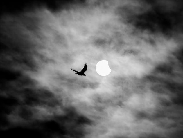 La Lune commence à grignoter le disque solaire dans le ciel du Royaume-Uni / Ph. Carl Drinkwater via Flickr - CC BY SA 2.0