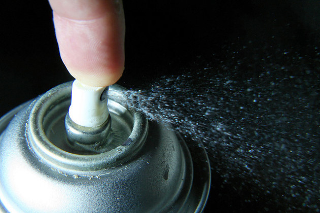 Présents dans les insecticides et répulsifs en spray tout comme dans les shampooings anti-poux, les pyréthrinoïdes provoqueraient un déficit cognitif chez les enfants - Ph. AMagill via Flickr / CC BY 2.0