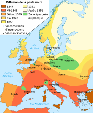 Répartition de la pandémie de Peste noire au XIVe siècle (Crédit : CDC)