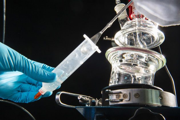 Un brevet protège le procédé de la première spermatogénèse in vitro - Ph. © IMP/CNRS Photothèque/Cyril FRESILLON