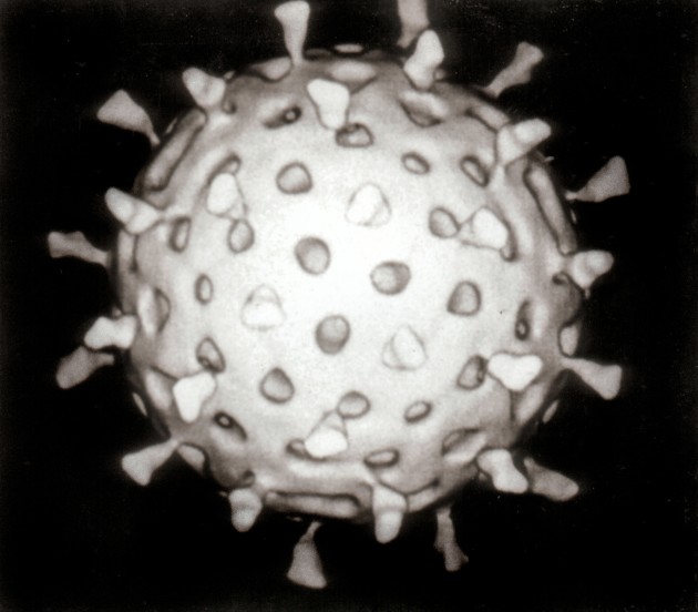 Un rotavirus représenté en 3D (Ph. Graham Beards & Graham Colm via Wikicommons CC BY 3.0)