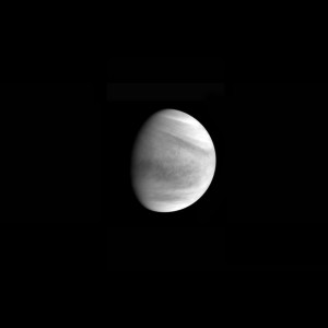 L'une des toutes premières images prises par la sonde spatiale Akatsuki, juste avant le succès de sa satellisation autour de la planète Vénus. Photo Jaxa.
