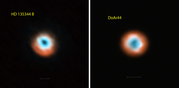 L'interféromètre international Alma a observé avec une précision inédite deux systèmes planétaires en formation, autour des étoiles HD 135344 B et DoAr44. Sur ces image prises à près de 0,9 millimètre de longueur d'onde, les étoiles naissantes sont invisibles, seuls les disques de gaz et de poussières qui les entourent sont observés par Alma. Dans la zone centrale, vide de gaz et de poussières, des planètes géantes sont en cours de formation. Les deux barres d'échelle, en bas des images, mesurent 18 milliards de kilomètres : c'est le diamètre de l'orbite de Neptune. Photos ESO/NOAJ/NRAO.