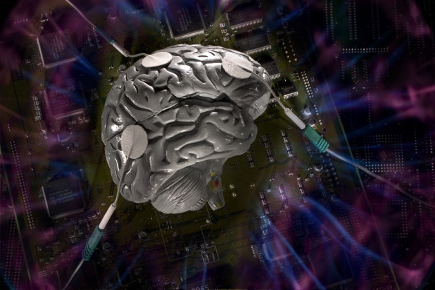 Pourquoi notre cerveau a-t-il cette structure si particulière ? A cause des lois physiques, répondent des chercheurs (Ph. amy leonard via Flickr CC BY 2.0) 