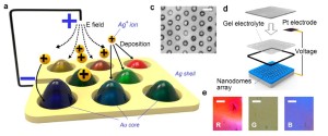 Mécanisme du dépôt d'ions d'argent sur les nanoparticules d'or, schéma du système et micrographies de trois couleurs : rouge, gris et bleu. ()