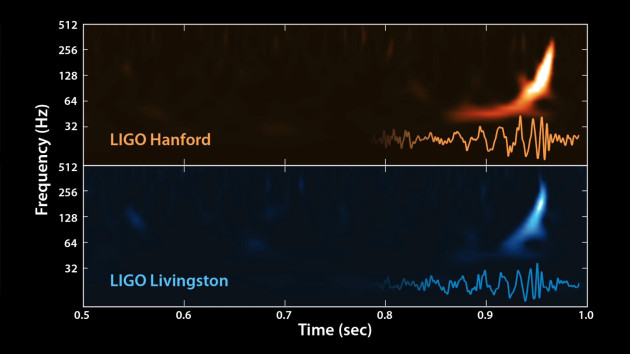 Un document historique : les ondes gravitationnelles, émises par la fusion de deux trous noirs, enregistrés ensemble par les deux interféromètres de l'observatoire américain Ligo, situés à 3000 kilomètres l'un de l'autre. Document Ligo/NSF.