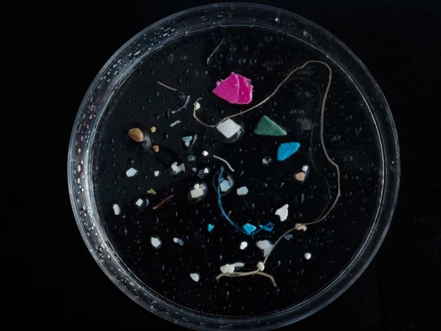 Un échantillon de microplastiques prélevés dans l'océan Atlantique nord par l'Expédition 7e continent. - Ph. Vinci Sato