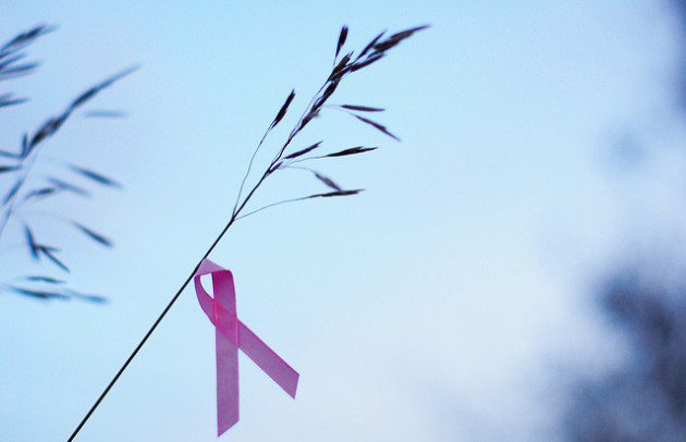 Des chercheurs proposent de changer radicalement d'approche : réduire le cancer plutôt que le détruire. - Ph. PFala / Flickr / CC BY 2.0