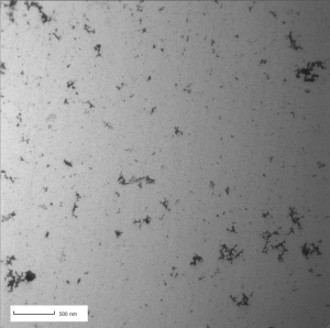 Nanoplastiques formés par dégradation UV de débris millimétriques prélevés dans l'Atlantique Nord par l’Expédition 7e Continent (photo TEM)